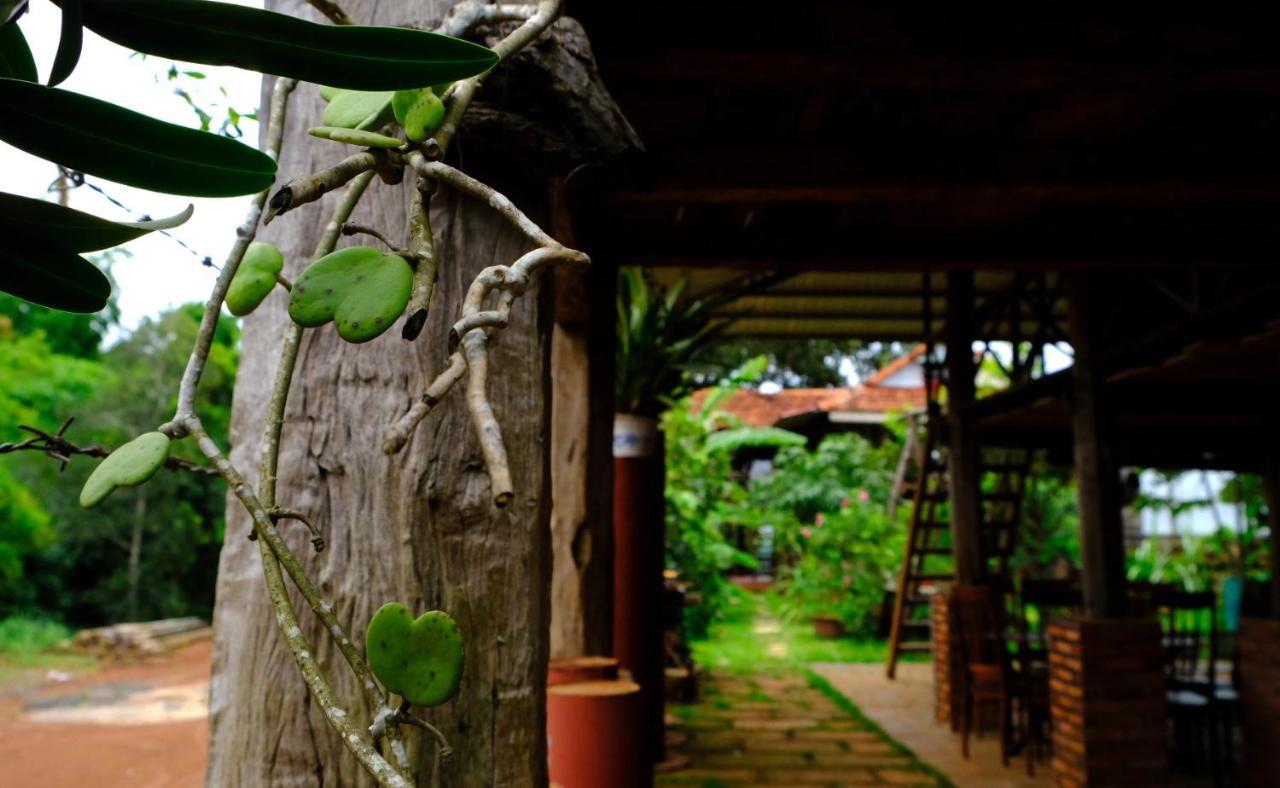 Plei Homestay & Cafe Плей Ку Екстериор снимка